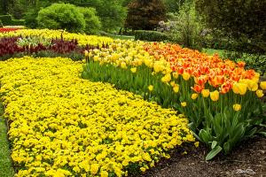 Springtime - Longwood Gardens