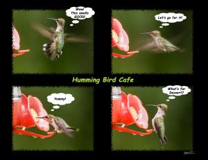 Humming Bird Cafe