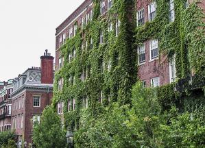 Boston Ivy League