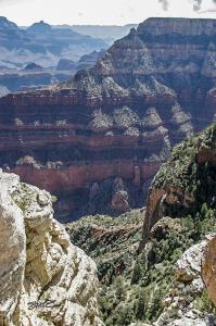 Grand Canyon Chasm